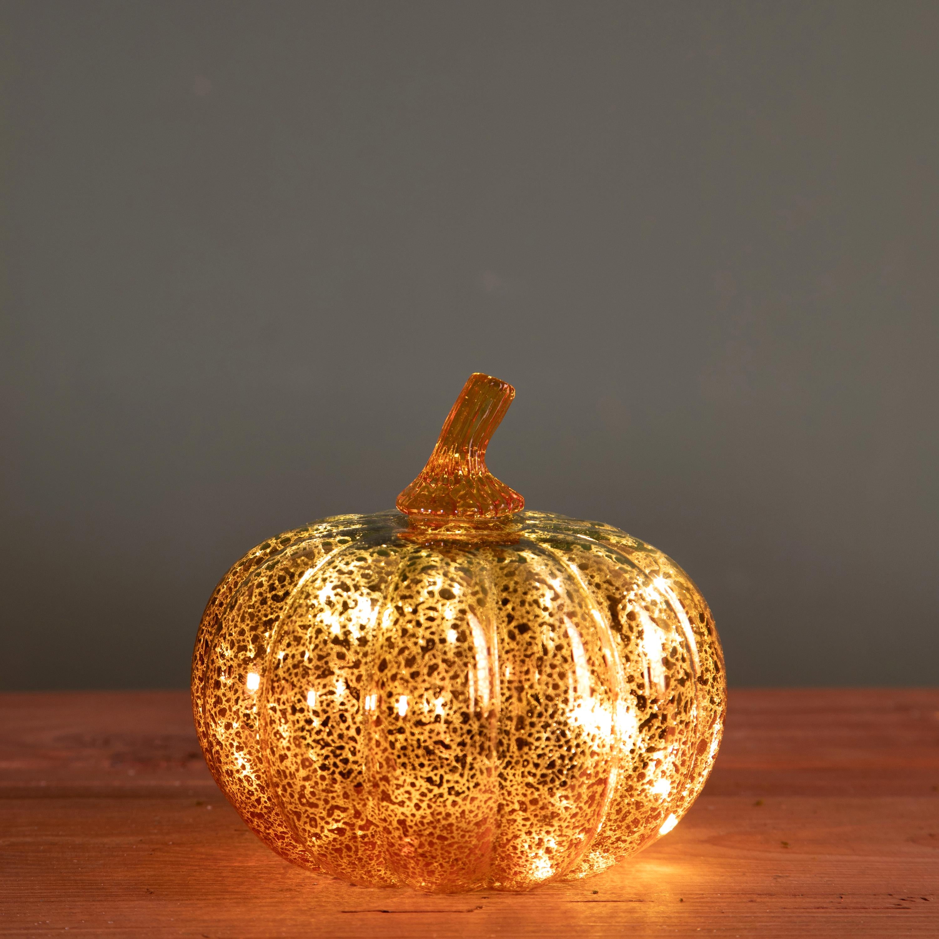 Zucca Led