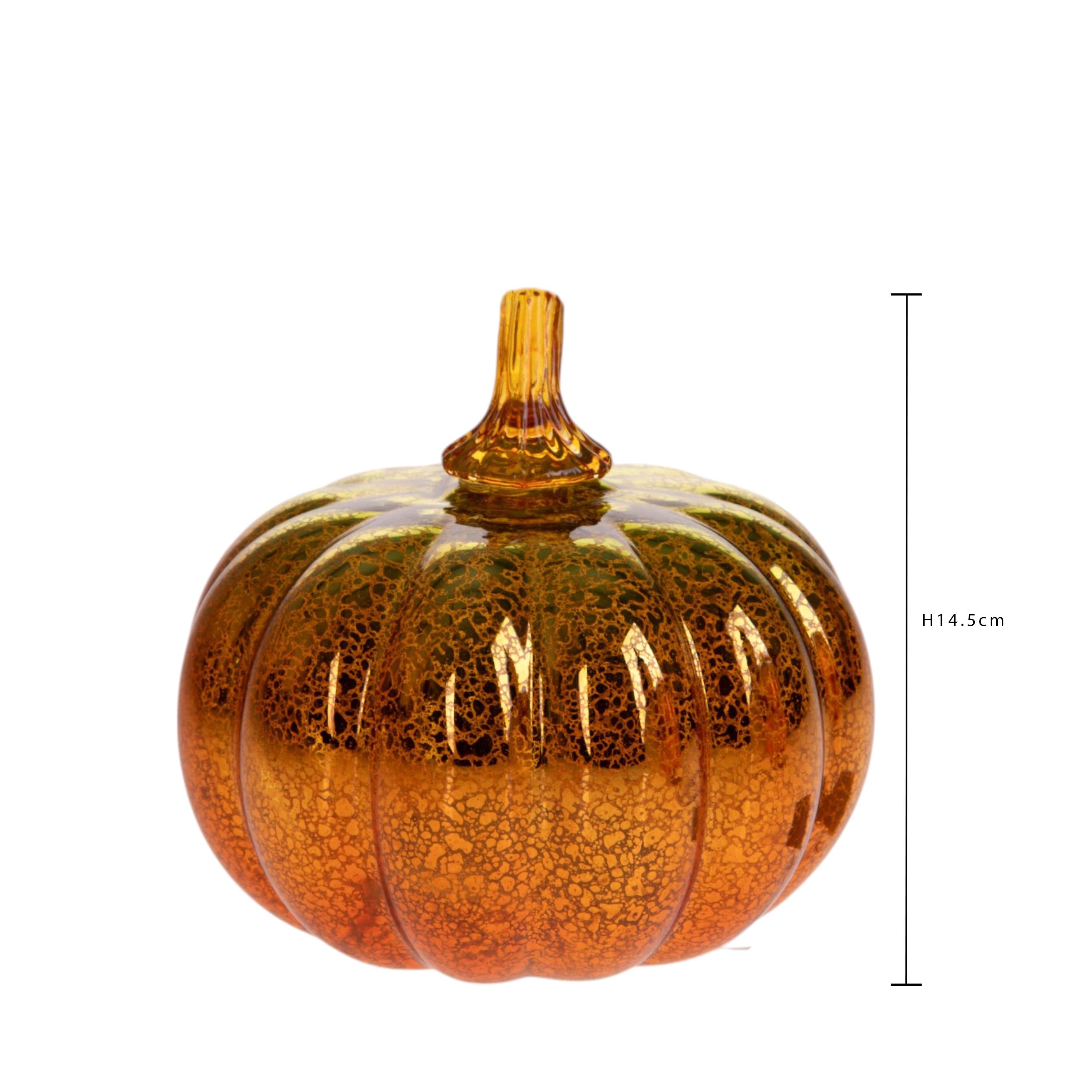 Zucca Led