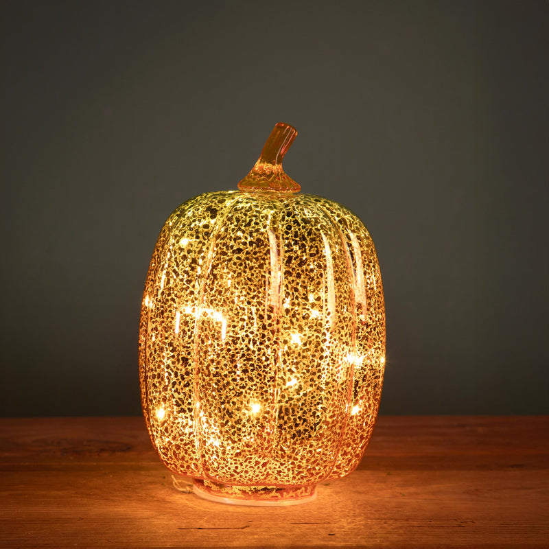 Zucca Led