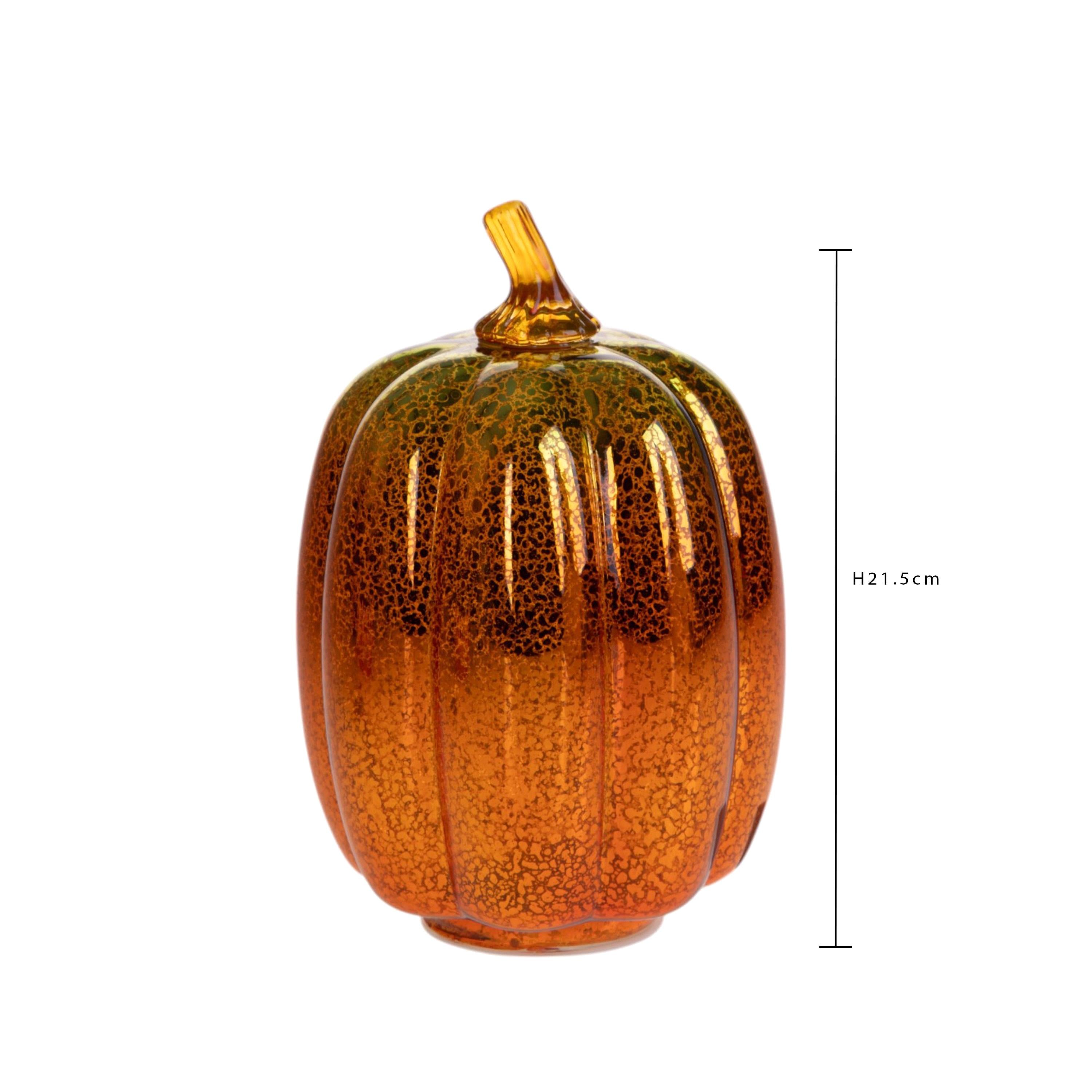 Zucca Led