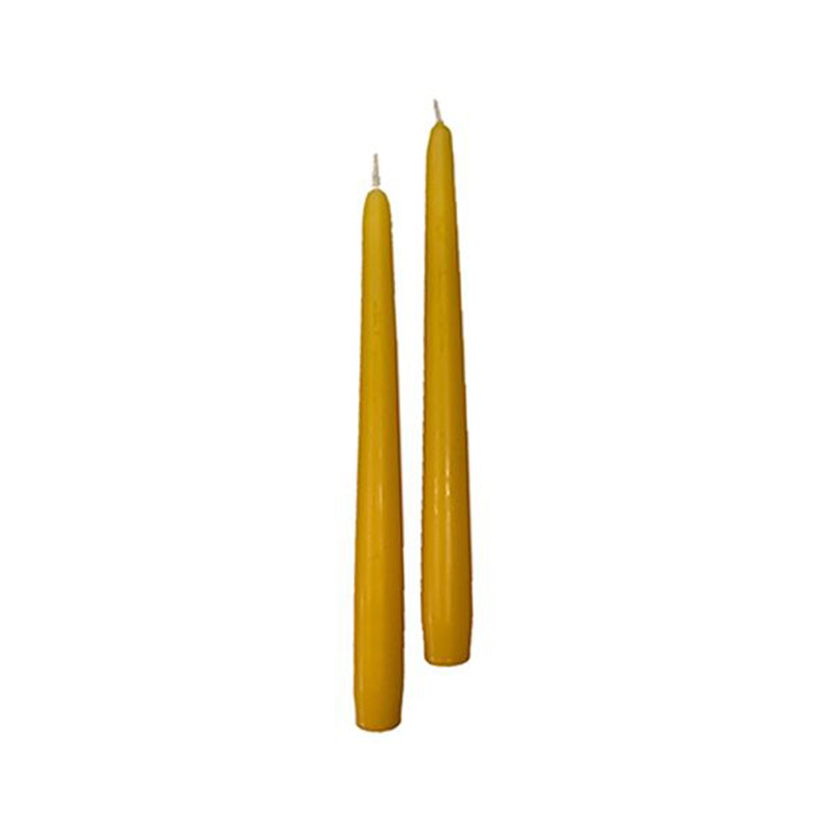 Candele coniche Ø 2,2 cm h. 30 cm 12 pezzi - Senape